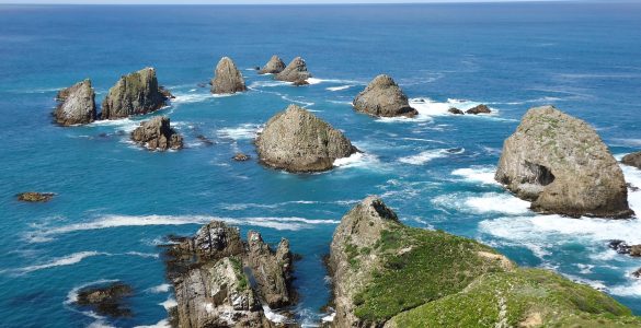 stewart island