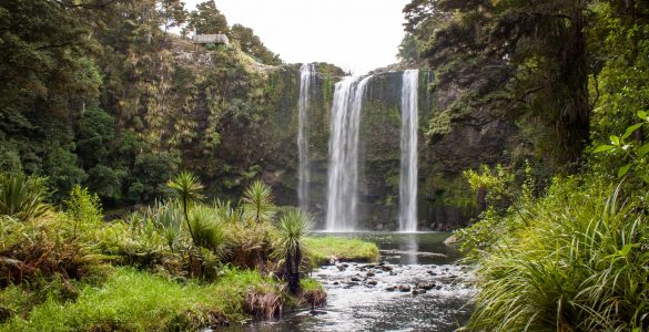 whangarei