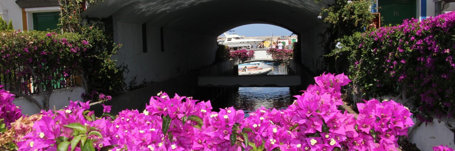 puerto de mogan