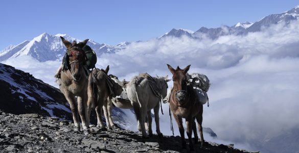 bezienswaardigheden Nepal